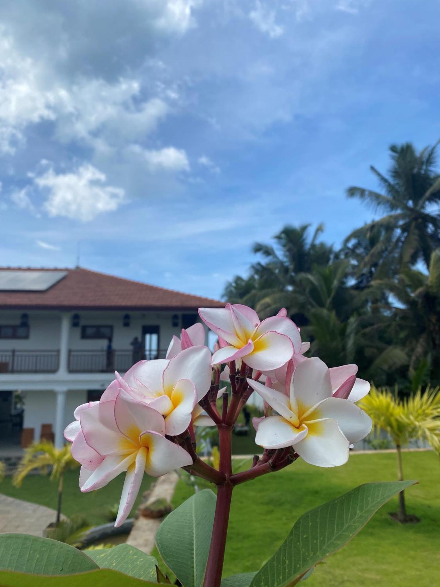 Sea Star Boutique Hotel Hikkaduwa Ngoại thất bức ảnh